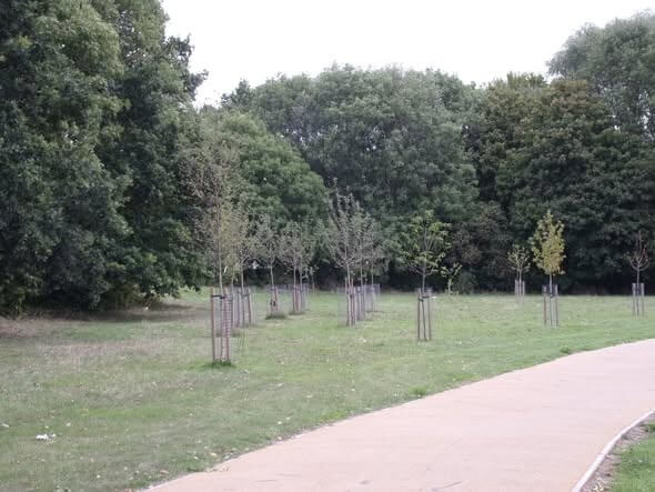 Babbs Mill Community Orchard