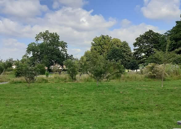 Shirley Park Community Orchard