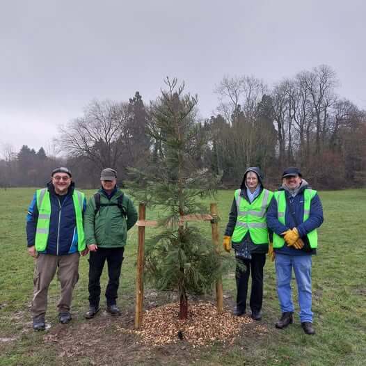 Solihull Tree Wardens volunteers
