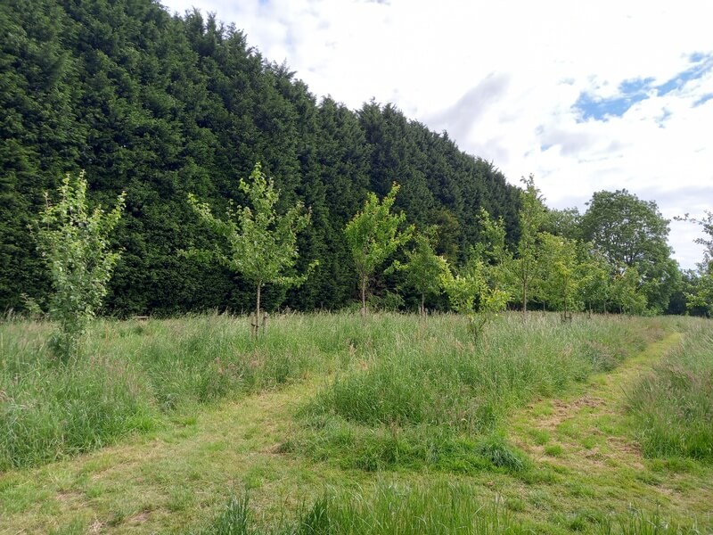 Hope Coppice Community Orchard